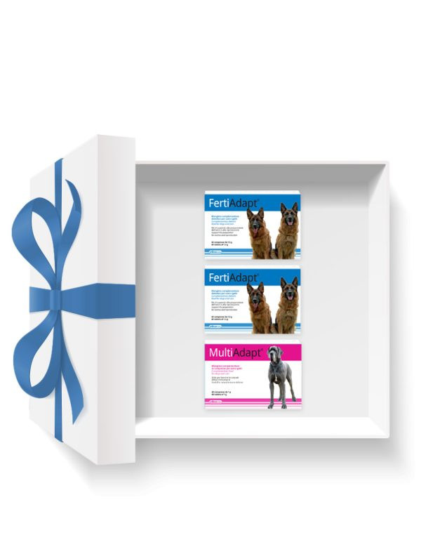 1670358366fertility-box-1-600x779.jpg