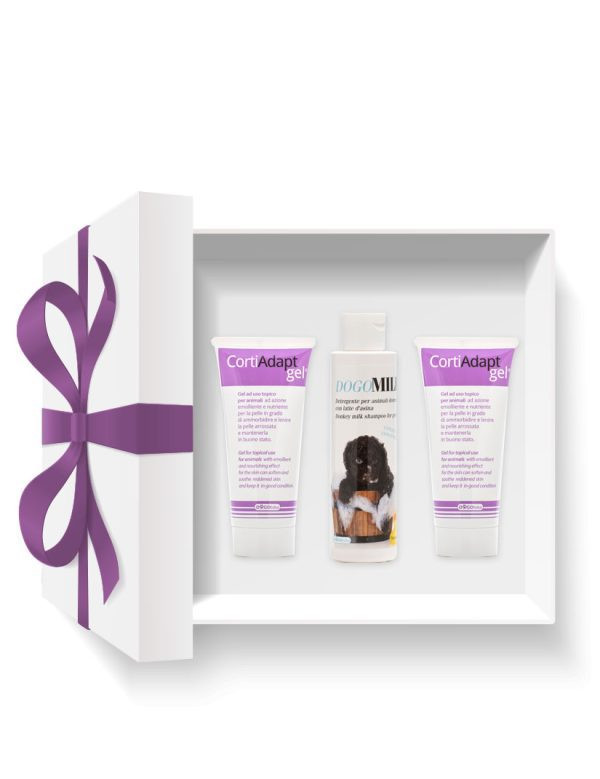 1670358435derma-box-1-600x779.jpg